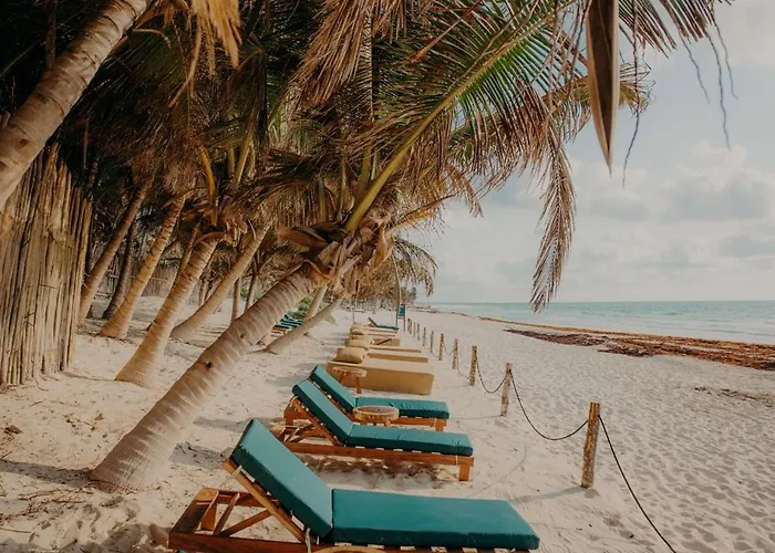 Luxury With Private Terrace * Tulum